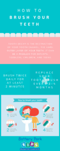 How to brush your teeth infographic showing brushing technique and toothbrush information